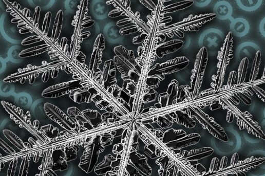 Geometric fractals of snowflake