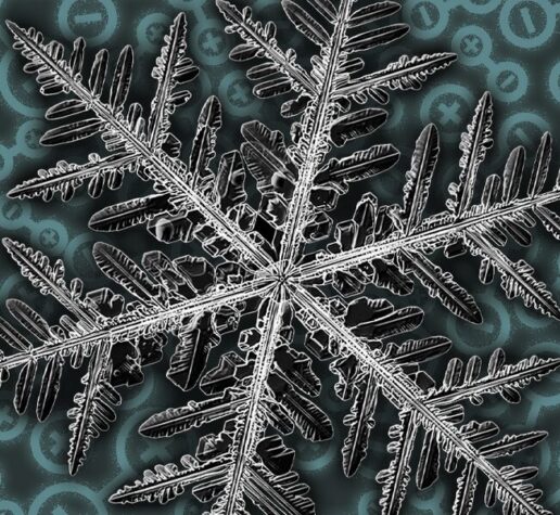 Geometric fractals of snowflake