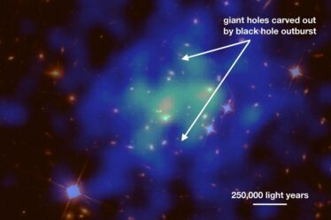 Giant cavities in the X-ray emitting intracluster medium have been carved out by a black hole outburst.