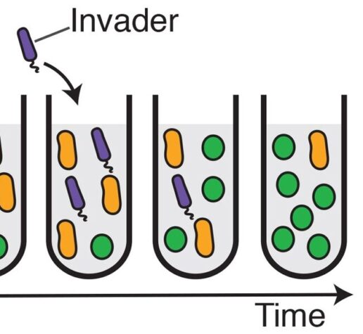 Study finds microbes can alter an environment dramatically before dying out