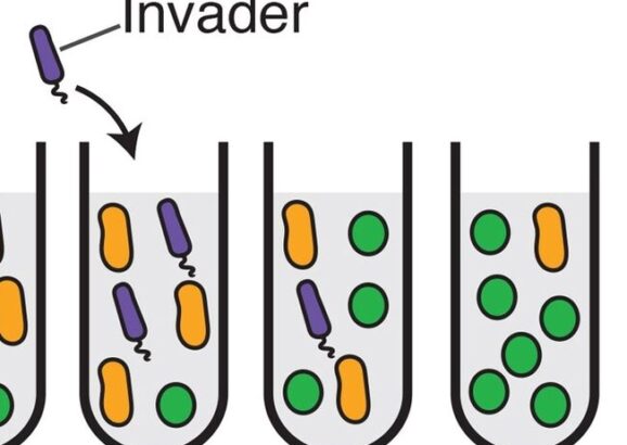 Study finds microbes can alter an environment dramatically before dying out