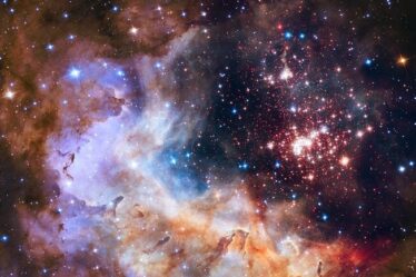 Image of the cluster Westerlund 2, an obscured compact young star cluster in the Milky Way, and its surroundings.