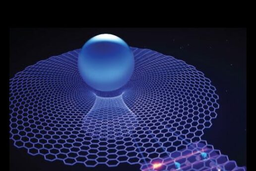 Quantum Polariton Graphene