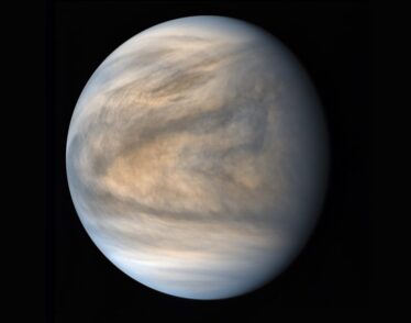 A photo of Venus in false color, painting it a swirling cool brown, with light blue hues at the north and south poles.