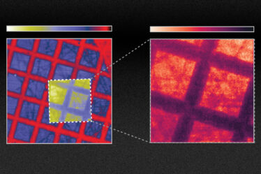 TEM grid on scotch tape