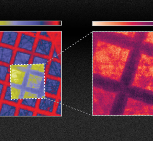 TEM grid on scotch tape