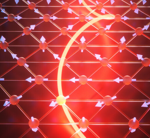 multiferroic state in 2D material