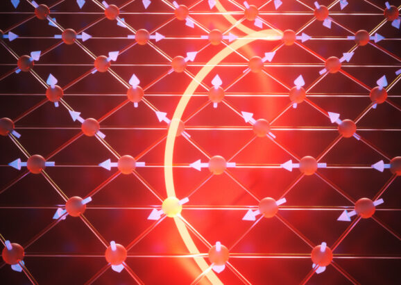 multiferroic state in 2D material