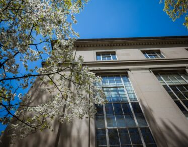 tree blooms in front of MIT Building 6