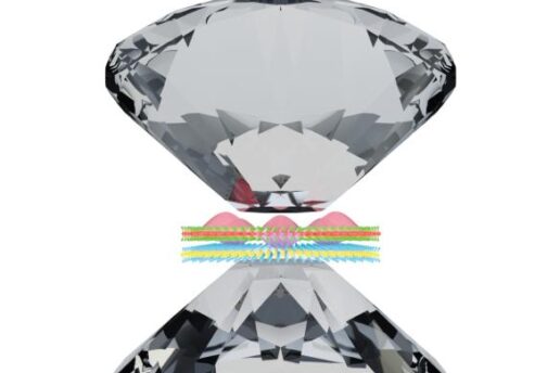 The flat tips of two diamonds compress an atomically thin material.