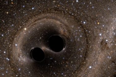 A computer simulation shows the collision of two black holes, detected for the first time by the Laser Interferometer Gravitational-Wave Observatory (LIGO) in 2015.