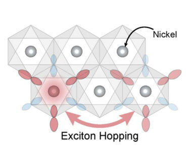 Schematic showing how exotic particles known as excitons can “hop” between nickel atoms (grey dots) in the nickel dihalide materials.