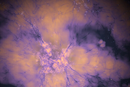 Image shows vein-like connections, in purple, spreading across galaxies connecting celestial bodies.