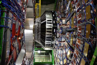 The CMS detector at the Large Hadron Collider