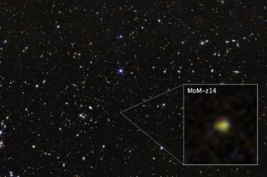 Webb space telescope captured galaxy MoM-z14 as it appeared nearly 13 billion years ago.