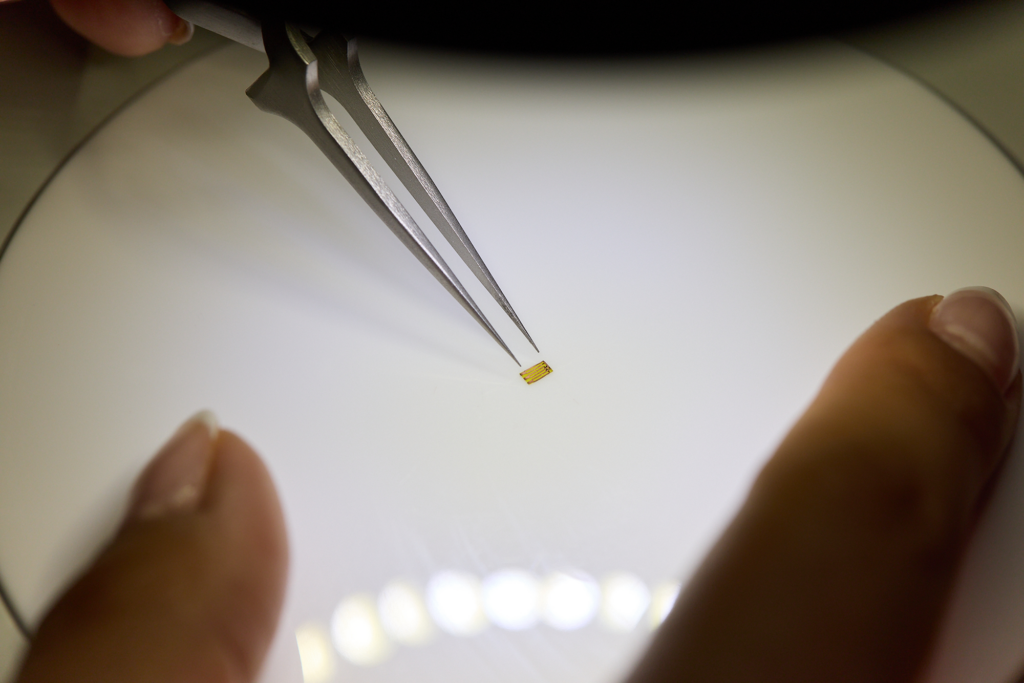 A pair of tweezers holds a tiny, custom-printed circuit board over a brightly lit surface, with a person's hands framing the shot.